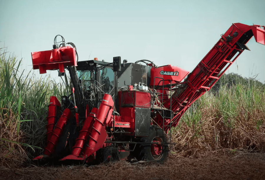 Austoft 4010 Maxx Sugarcane Harvester live field image